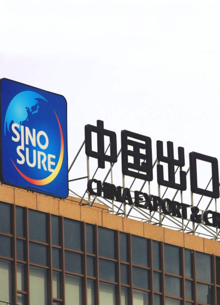 Синошур (Sinosure) мв гот 1